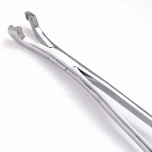 HORSE DENTAL INSTRUMENTS