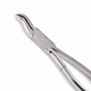 HORSE DENTAL INSTRUMENTS
