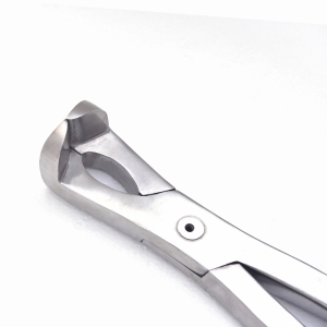 HORSE DENTAL INSTRUMENTS