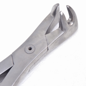 HORSE DENTAL INSTRUMENTS